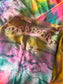Vintage 1990s Y2K Dress - Amazing Fern + Rainbow Tie-Dye Gauze Cotton Kaftan Sundress Size XS to XL